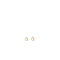 HERMES ECHAPPEE EARRINGS ROSE GOLD
