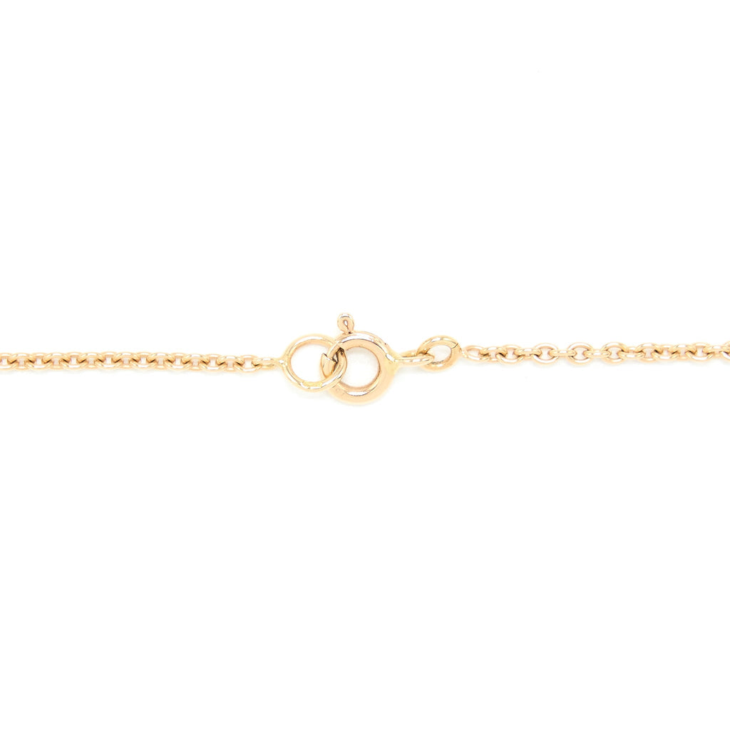 DIOR LARGE ROSE DES VENTS MEDALLION ROSE GOLD WITH DIAMOND AND ONYX